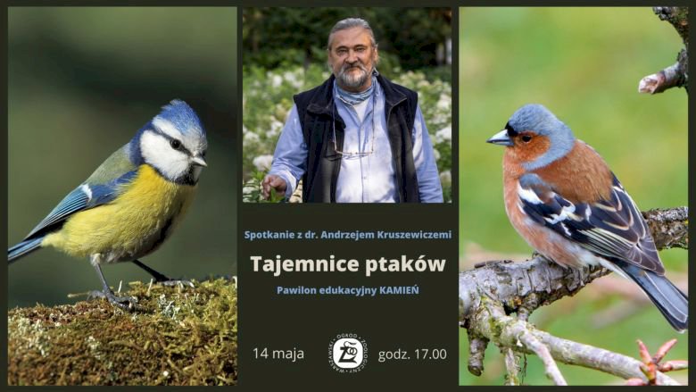 Tajemnice ptaków - spotkanie w Kamieniu na Pradze - Życie Pragi Północ