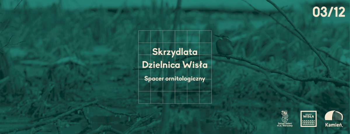 Spacer ornitologiczny na Pradze Północ - Życie Pragi Północ