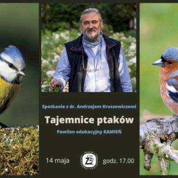 Tajemnice ptaków - spotkanie w Kamieniu na Pradze - Życie Pragi Północ