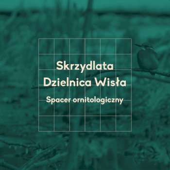 Spacer ornitologiczny na Pradze Północ - Życie Pragi Północ