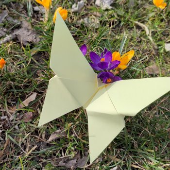 Origami - warsztaty na Pradze Północ - Życie Pragi Północ