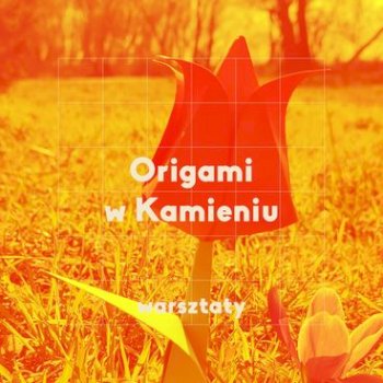 Origami - warsztaty na Pradze Północ - Życie Pragi Północ