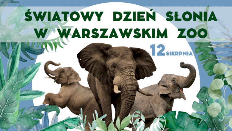 Światowy Dzień Słonia w ZOO na Pradze Północ - Życie Pragi Północ