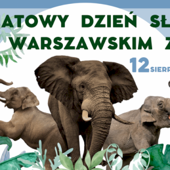 Światowy Dzień Słonia w ZOO na Pradze Północ - Życie Pragi Północ